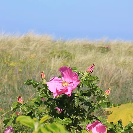 Cozy Apartment In Rerik With Beach Nearby Apartment Rerik